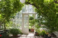 free Stanford Hills orangery quotes